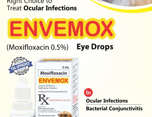 Envemox eye drops A5 Flyer Phililppine